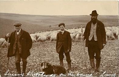 Sussex_shepherds_near_Lewes Sussex_shepherds_near_Lewes