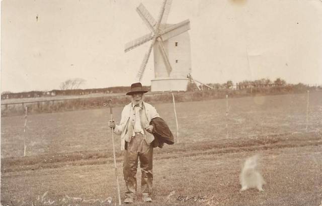 Sussex_shepherd_Kingston_windmill_postcard