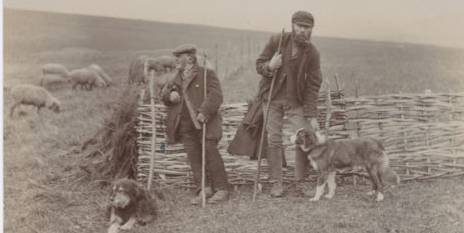 On_the_Downs_shepherds_Edwardian_postcard
