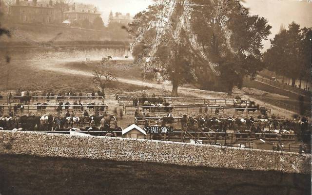 cattle-market-lewes-pells-postcard
