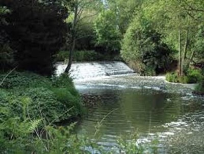 Ouse talk image