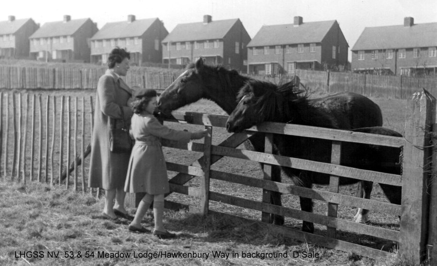 Lewes, Nevill 53 and 54 Meadow Lodge, Hawkenbury Way in background