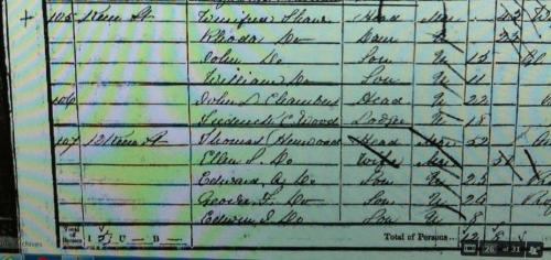 Thomas Henwood artist 1851 Census entry