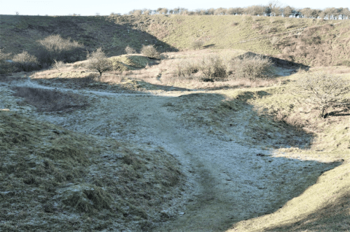 Main Bridgewick Pit, Lewes, 2020
