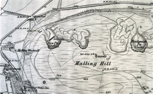 Malling Hill, Lewes OS 6 inch map, 1873