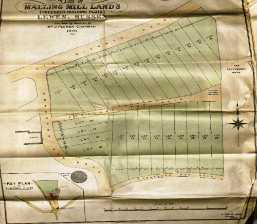Malling Hill plots 1901